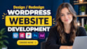 develop a professional wordpress website and blog