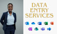 do professional excel data entry and CSV cleanup