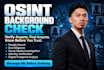 do background check on anyone, people search, due diligence
