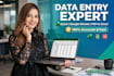 do data entry excel typing copy paste pdf to word fast