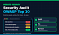 do a website security audit as per owasp top 10 and fix bugs