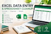 do accurate excel data entry and spreadsheet cleanup