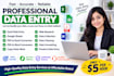do professional data entry excel web research and PDF to excel