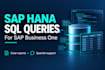 write sql queries for sap business one hana reports