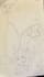 draw you something on paper