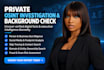 conduct an osint private investigation and background check