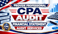 provide professional CPA audit and financial statement audit services