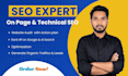 do website audit,on page and technical SEO with action plan