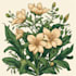 design elegant floral and botanical illustrations