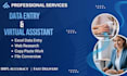 do excel data entry web research and virtual assistant tasks