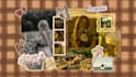 create professional canva designs