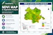 ndvi maps from satellite imagery