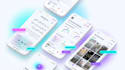 develop flutter android web and windows applications