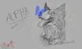 draw your pet or pets
