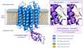 analyze genomic data, variant interpretation, classification, and writing