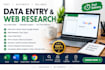 expert data entry web research