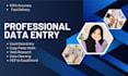 Do accurate data entry, web research, copy paste and excel data entry ...