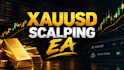 give u this scalping xauusd ea