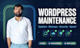 maintain, update and secure your wordpress site