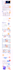 develop a full stack mern web application