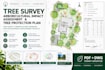 create tree survey arboricultural impact assessment and tree protection plan