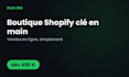 build a professional shopify store for your business