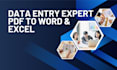do PDF to word, PDF to excel, and copy paste data entry work