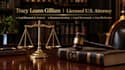 professionally review your criminal defense documents and case file