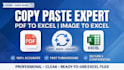 do copy paste, PDF to excel and image to excel
