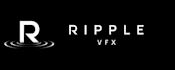 do professional vfx compositing, rotoscoping and cleanup