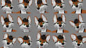 create custom vrchat avatar furry avatar with toggles sfw vrm unity 3d model