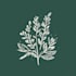 design botanical hand drawn logo
