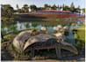 do 3d model, rendering, master plan,landscape design