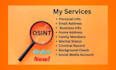 provide private detective, background check, osint, and find someone