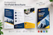 design a professional business brochure