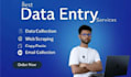 do accurate data entry, data collection, web scraping excel