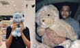 create custom plushie character and illustration from your idea