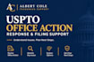 help with uspto trademark office action and filing issues