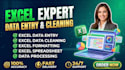 provide excel services with accurate and fast delivery