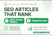 write human written SEO blog post article with rankmath optimization