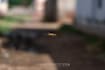 edit a high quality video