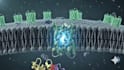 create 3d pharmaceutical moa and drug mechanism animation