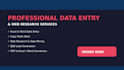 do professional data enty