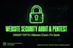 cybersecurity audit and penetration testing