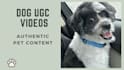 create authentic dog ugc videos for your pet brand