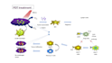create scientific illustrations, and graphical abstracts