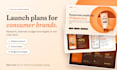 create a go to market launch plan for your consumer brand