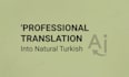 do professional ai translation and proofreading into turkish