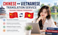 translate chinese vietnamese both ways