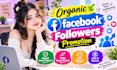 boost your facebook page followers instantly